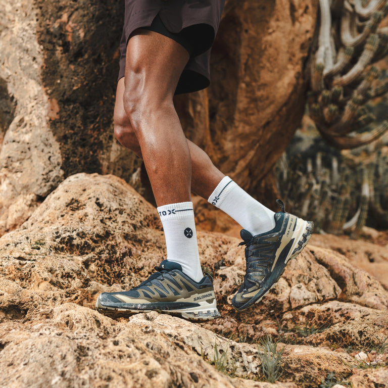 Merino Hiking Ankle Socks Men White/Navy